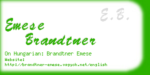 emese brandtner business card